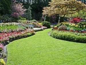 beautiful garden