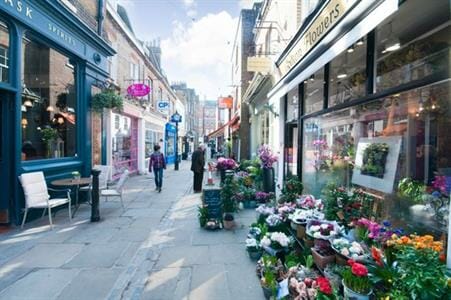 hampstead-img1
