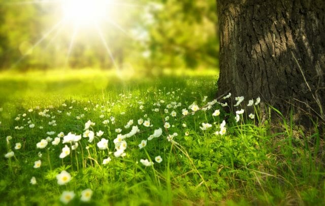 spring in berkshire countryside