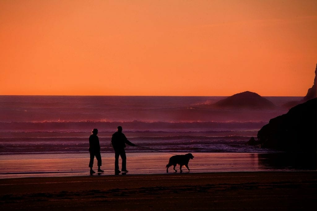 Silhouettes of two people and a dog on a beach at sunset with vibrant orange sky and distant waves, near a self storage facility.