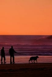 Silhouettes of two people and a dog on a beach at sunset with vibrant orange sky and distant waves, near a self storage facility.