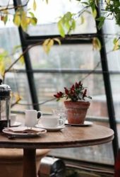 A cozy café scene with a French press, cups, and a plant on a wooden table near a window with hanging greenery, ideal for storing away a peaceful afternoon.