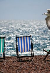 Three beach chairs on a pebble beach with a seagull flying above and a sea backdrop, ideal for storing in self storage during the off-season.